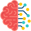 Brain Icon